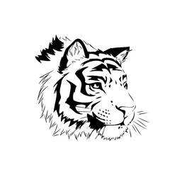 Malvorlage: Tiger (Tiere) #13631 - Kostenlose Malvorlagen zum Ausdrucken