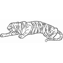 Malvorlage: Tiger (Tiere) #13637 - Kostenlose Malvorlagen zum Ausdrucken
