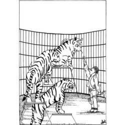 Malvorlage: Tiger (Tiere) #13646 - Kostenlose Malvorlagen zum Ausdrucken