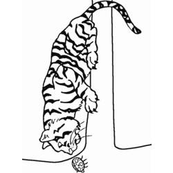 Malvorlage: Tiger (Tiere) #13651 - Kostenlose Malvorlagen zum Ausdrucken
