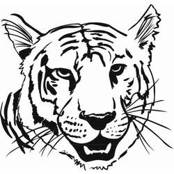 Malvorlage: Tiger (Tiere) #13666 - Kostenlose Malvorlagen zum Ausdrucken