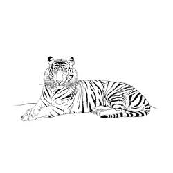 Malvorlage: Tiger (Tiere) #13676 - Kostenlose Malvorlagen zum Ausdrucken