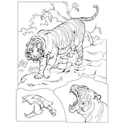 Malvorlage: Tiger (Tiere) #13683 - Kostenlose Malvorlagen zum Ausdrucken