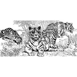 Malvorlage: Tiger (Tiere) #13691 - Kostenlose Malvorlagen zum Ausdrucken