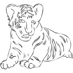 Malvorlage: Tiger (Tiere) #13701 - Kostenlose Malvorlagen zum Ausdrucken