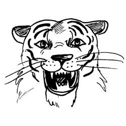 Malvorlage: Tiger (Tiere) #13716 - Kostenlose Malvorlagen zum Ausdrucken