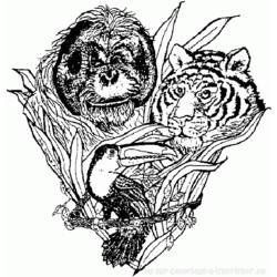 Malvorlage: Tiger (Tiere) #13756 - Kostenlose Malvorlagen zum Ausdrucken