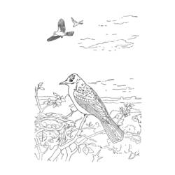 Malvorlage: Vögel (Tiere) #11938 - Kostenlose Malvorlagen zum Ausdrucken