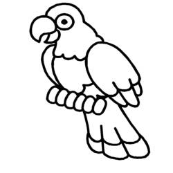 Zeichnungen zum Ausmalen: Vögel - Druckbare Malvorlagen