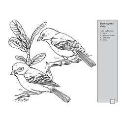 Malvorlage: Vögel (Tiere) #11981 - Kostenlose Malvorlagen zum Ausdrucken