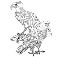 Malvorlage: Vögel (Tiere) #12053 - Kostenlose Malvorlagen zum Ausdrucken
