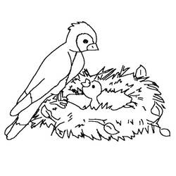 Malvorlage: Vogelbabys (Tiere) #20106 - Kostenlose Malvorlagen zum Ausdrucken