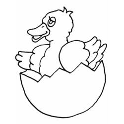 Malvorlage: Vogelbabys (Tiere) #20138 - Kostenlose Malvorlagen zum Ausdrucken