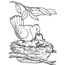 Malvorlage: Vogelbabys (Tiere) #20146 - Kostenlose Malvorlagen zum Ausdrucken