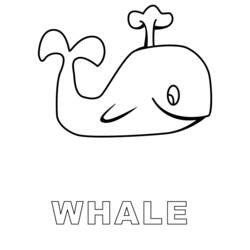 Malvorlage: Wal (Tiere) #905 - Kostenlose Malvorlagen zum Ausdrucken