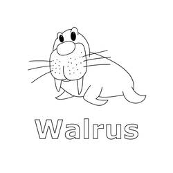 Malvorlage: Walross (Tiere) #16501 - Kostenlose Malvorlagen zum Ausdrucken