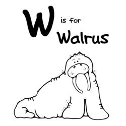 Malvorlage: Walross (Tiere) #16502 - Kostenlose Malvorlagen zum Ausdrucken