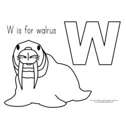 Malvorlage: Walross (Tiere) #16543 - Kostenlose Malvorlagen zum Ausdrucken