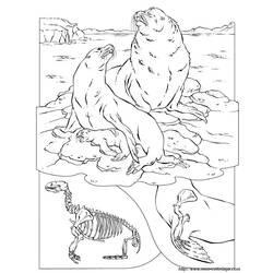 Malvorlage: Walross (Tiere) #16606 - Kostenlose Malvorlagen zum Ausdrucken