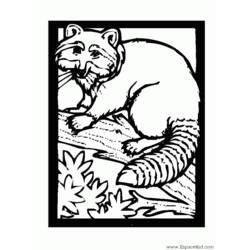 Malvorlage: Waschbär (Tiere) #19994 - Kostenlose Malvorlagen zum Ausdrucken