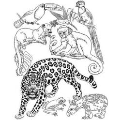 Malvorlage: Wild-/Dschungeltiere (Tiere) #21101 - Kostenlose Malvorlagen zum Ausdrucken