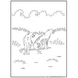 Malvorlage: Wilde / Dschungeltiere (Tiere) #21210 - Kostenlose Malvorlagen zum Ausdrucken