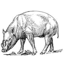 Malvorlage: Wildschwein (Tiere) #14659 - Kostenlose Malvorlagen zum Ausdrucken