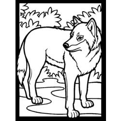 Malvorlage: Wolf (Tiere) #10440 - Kostenlose Malvorlagen zum Ausdrucken