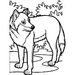 Malvorlage: Wolf (Tiere) #10448 - Kostenlose Malvorlagen zum Ausdrucken