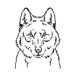 Malvorlage: Wolf (Tiere) #10450 - Kostenlose Malvorlagen zum Ausdrucken