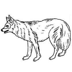 Malvorlage: Wolf (Tiere) #10461 - Kostenlose Malvorlagen zum Ausdrucken