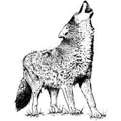 Malvorlage: Wolf (Tiere) #10483 - Kostenlose Malvorlagen zum Ausdrucken