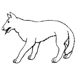 Malvorlage: Wolf (Tiere) #10505 - Kostenlose Malvorlagen zum Ausdrucken