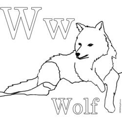 Malvorlage: Wolf (Tiere) #10524 - Kostenlose Malvorlagen zum Ausdrucken
