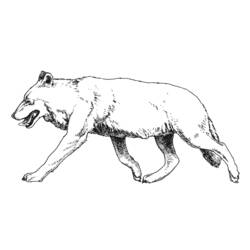 Malvorlage: Wolf (Tiere) #10530 - Kostenlose Malvorlagen zum Ausdrucken