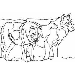Malvorlage: Wolf (Tiere) #10535 - Kostenlose Malvorlagen zum Ausdrucken