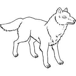 Malvorlage: Wolf (Tiere) #10600 - Kostenlose Malvorlagen zum Ausdrucken