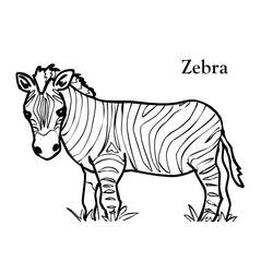 Malvorlage: Zebra (Tiere) #12938 - Kostenlose Malvorlagen zum Ausdrucken