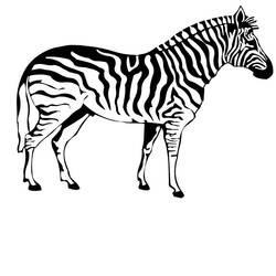 Malvorlage: Zebra (Tiere) #12940 - Kostenlose Malvorlagen zum Ausdrucken