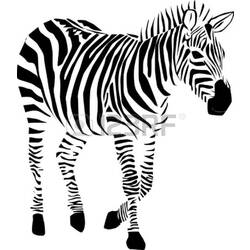 Malvorlage: Zebra (Tiere) #12957 - Kostenlose Malvorlagen zum Ausdrucken