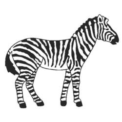 Malvorlage: Zebra (Tiere) #12964 - Kostenlose Malvorlagen zum Ausdrucken