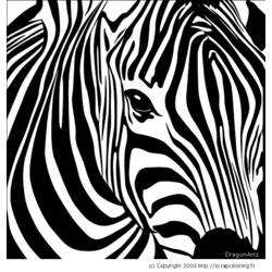 Malvorlage: Zebra (Tiere) #12965 - Kostenlose Malvorlagen zum Ausdrucken