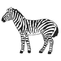 Malvorlage: Zebra (Tiere) #12968 - Kostenlose Malvorlagen zum Ausdrucken