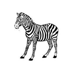 Malvorlage: Zebra (Tiere) #12972 - Kostenlose Malvorlagen zum Ausdrucken