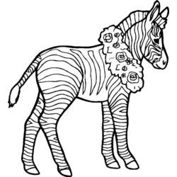 Malvorlage: Zebra (Tiere) #12979 - Kostenlose Malvorlagen zum Ausdrucken