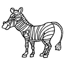 Malvorlage: Zebra (Tiere) #12983 - Kostenlose Malvorlagen zum Ausdrucken
