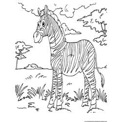Malvorlage: Zebra (Tiere) #12995 - Kostenlose Malvorlagen zum Ausdrucken