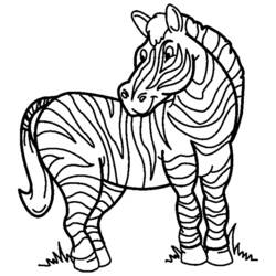 Malvorlage: Zebra (Tiere) #13008 - Kostenlose Malvorlagen zum Ausdrucken