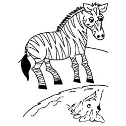 Malvorlage: Zebra (Tiere) #13013 - Kostenlose Malvorlagen zum Ausdrucken