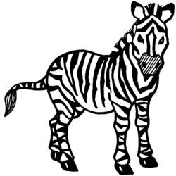 Zeichnungen zum Ausmalen: Zebra - Druckbare Malvorlagen